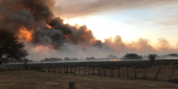 Buenos Aires: sigue inhabilitada la posibilidad de realizar quemas prescriptas luego de cuatro años de vigencia de la Ley de Lucha Contra Incendios