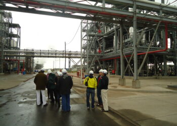 ¿Por qué es tan elevada la capacidad ociosa de las industrias argentinas procesadoras de soja?