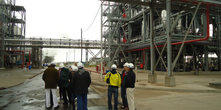 ¿Por qué es tan elevada la capacidad ociosa de las industrias argentinas procesadoras de soja?