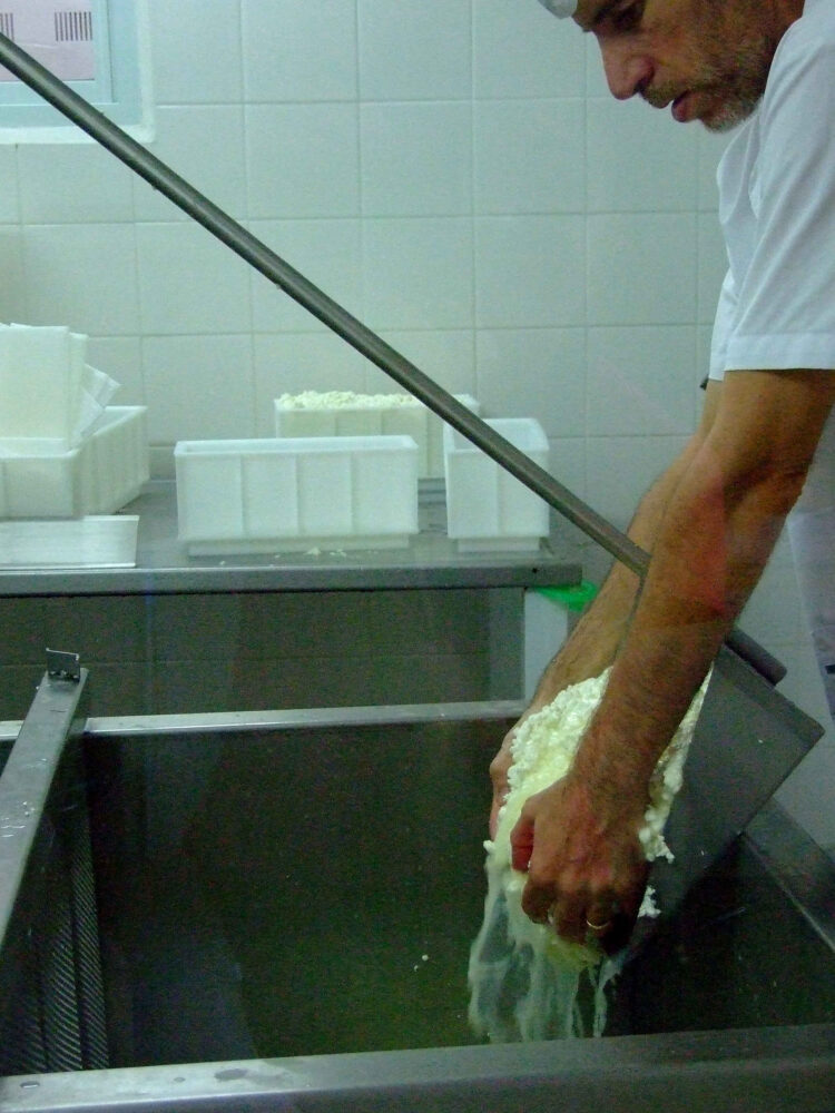 Contame una historia de amor: Después de la crisis de 2001 Valeria y Rafael se fueron a producir orégano al campo, terminaron enamorados de las cabras y haciendo exquisitos quesos