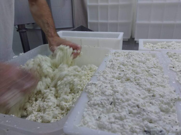 Contame una historia de amor: Después de la crisis de 2001 Valeria y Rafael se fueron a producir orégano al campo, terminaron enamorados de las cabras y haciendo exquisitos quesos