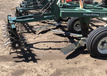 ¿Y ahora? El 41% del área triguera de la zona sudoeste de Buenos Aires se hace con siembra convencional