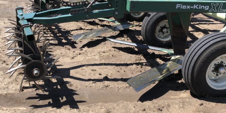 ¿Y ahora? El 41% del área triguera de la zona sudoeste de Buenos Aires se hace con siembra convencional