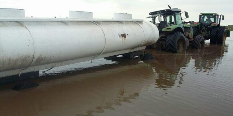 Las industrias lácteas hicieron un gran esfuerzo por mejorar el precio de la leche, pero para los tamberos no alcanza