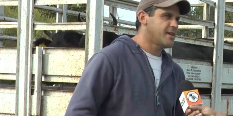 “Comprar un campo es imposible con los valores que tienen”, dice Luciano Voloschuk, que logró ingresar con sus 40 vacas en la nueva Colonia Guardamonte