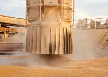 Brasil vuelve a suspender (inútilmente) el arancel para importar maíz extra-Mercosur