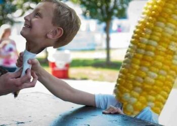 EE.UU. comenzó a “comerse” sus reservas internas de maíz