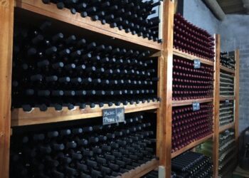 Feliz Día del Malbec: Por qué es una de las pocas cosas que pueden festejar los argentinos