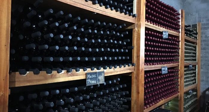 Feliz Día del Malbec: Por qué es una de las pocas cosas que pueden festejar los argentinos