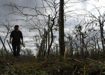 Se declaró la emergencia agropecuaria para Mendoza y Río Negro