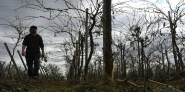 Se declaró la emergencia agropecuaria para Mendoza y Río Negro