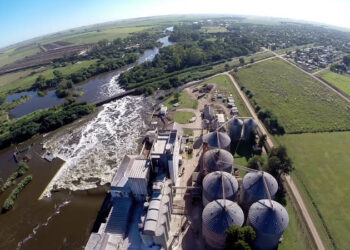 Molinos Juan Semino advierte que “va a costar comprar el trigo si la cosecha gruesa es razonablemente voluminosa”