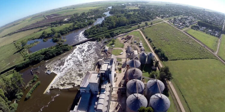 Molinos Juan Semino advierte que “va a costar comprar el trigo si la cosecha gruesa es razonablemente voluminosa”