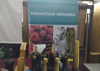 La superficie argentina bajo producción orgánica alcanzó un récord histórico de 4,4 millones de hectáreas