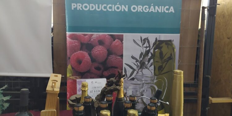 La superficie argentina bajo producción orgánica alcanzó un récord histórico de 4,4 millones de hectáreas