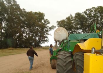 El gobierno ajustó por inflación la categorización de Pyme agropecuaria: el nuevo límite es de hasta 1099 millones de pesos