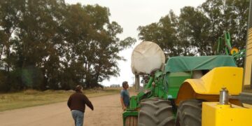 El gobierno ajustó por inflación la categorización de Pyme agropecuaria: el nuevo límite es de hasta 1099 millones de pesos