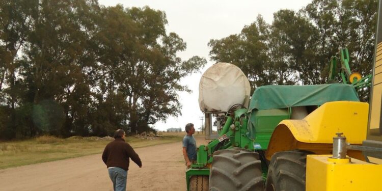 El gobierno ajustó por inflación la categorización de Pyme agropecuaria: el nuevo límite es de hasta 1099 millones de pesos