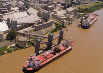 Se aceleraron las declaraciones de embarques argentinos de trigo 2021/22 ante la avanzada intervencionista del gobierno