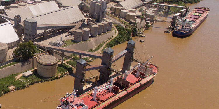 Se aceleraron las declaraciones de embarques argentinos de trigo 2021/22 ante la avanzada intervencionista del gobierno