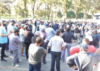 Conciliación obligatoria: se desactiva el paro sorpresivo de aceiteros en el sector norte del Gran Rosario