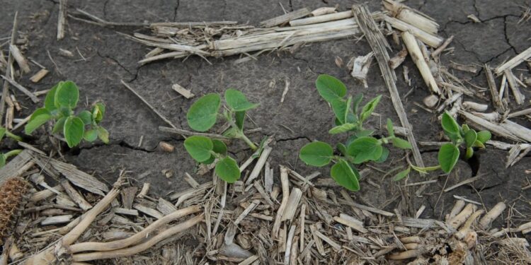 Perspectiva: “En términos históricos no son muchas las posibilidades de encontrar niveles de precios como los actuales”