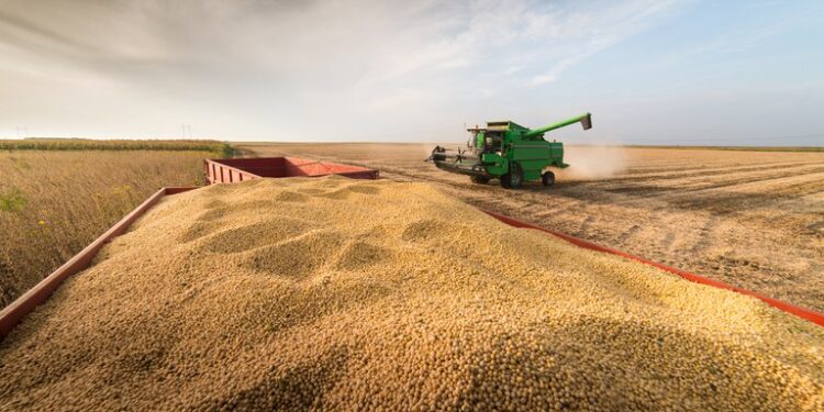Aprovechar el momento: Brasil registró en marzo el nivel histórico de exportaciones agroindustriales más elevado de su historia
