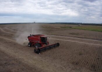 A meterle a la cosecha gruesa: se vienen dos semanas sin lluvias en la zona pampeana argentina