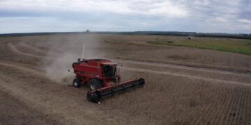 A meterle a la cosecha gruesa: se vienen dos semanas sin lluvias en la zona pampeana argentina