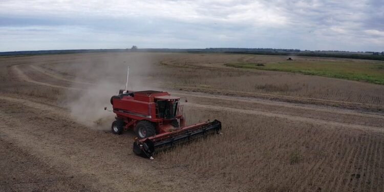 A meterle a la cosecha gruesa: se vienen dos semanas sin lluvias en la zona pampeana argentina
