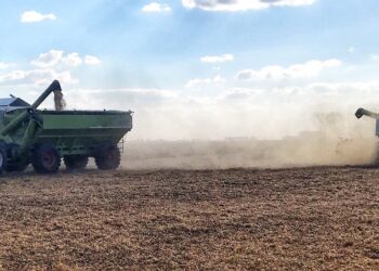 Cada vez menos soja: Ahora la Bolsa de Cereales de Buenos Aires proyecta una cosecha argentina de 43 millones de toneladas