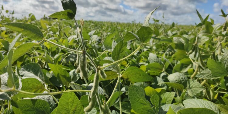 Argentina Unitaria: ¿Quién gana y quién pierde con las retenciones cambiarias?