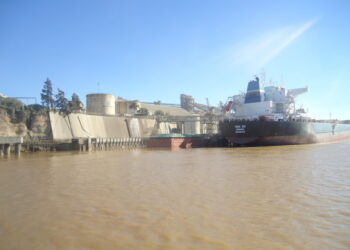 El precio del trigo argentino está “muerto” luego del cierre virtual de las exportaciones