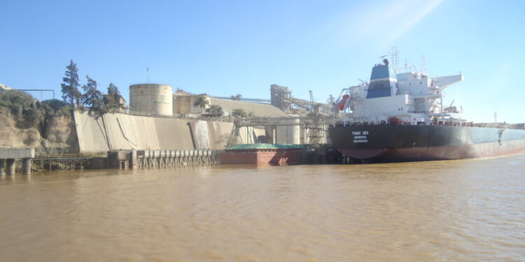 El precio del trigo argentino está “muerto” luego del cierre virtual de las exportaciones