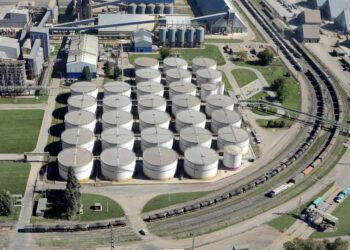 Con el auge del precio del aceite de soja este año Argentina generaría divisas por un récord histórico de 6100 millones de dólares