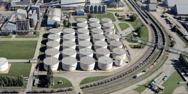 Con el auge del precio del aceite de soja este año Argentina generaría divisas por un récord histórico de 6100 millones de dólares