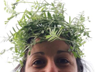 Carolina Estelrrich, una agrónoma con la cabeza “enviciada”: Por tres campañas, comparó la agricultura convencional contra una con cultivos de cobertura y otra sin insumos químicos