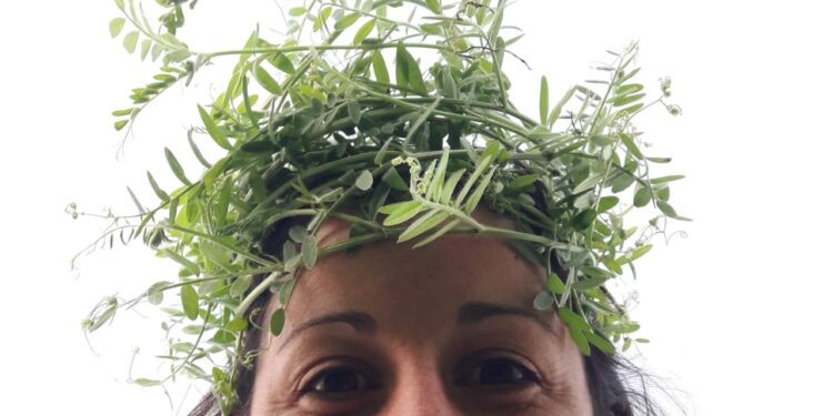 Carolina Estelrrich, una agrónoma con la cabeza “enviciada”: Por tres campañas, comparó la agricultura convencional contra una con cultivos de cobertura y otra sin insumos químicos