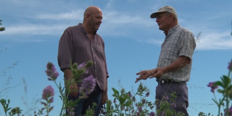 Miguel Ruberto y la historia de la Colonia Guardamonte: Recuperada de la corrupción, una gran estancia alberga los proyectos de vida de varias familias entrerrianas