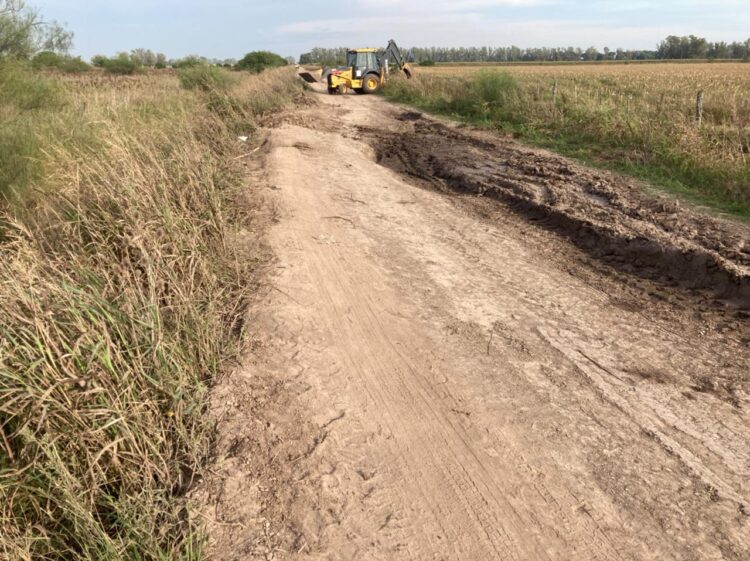 La historia detrás de la foto: el santafesino Juan Manuel Durá volcó con sus vacas por el mal estado de los caminos y asegura que “es frustrante producir en nuestra zona”