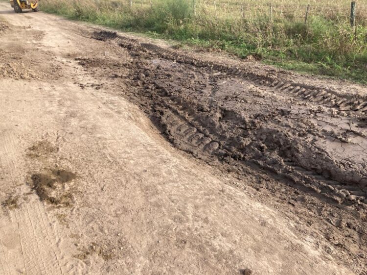 La historia detrás de la foto: el santafesino Juan Manuel Durá volcó con sus vacas por el mal estado de los caminos y asegura que “es frustrante producir en nuestra zona”