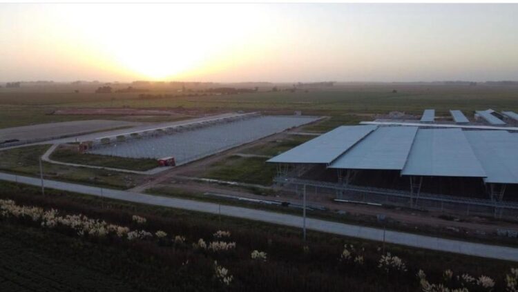 El mercado ganadero de Cañuelas entró en la recta final: Las operaciones de Liniers se mudarían a mitad de año