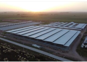 El mercado ganadero de Cañuelas entró en la recta final: Las operaciones de Liniers se mudarían a mitad de año