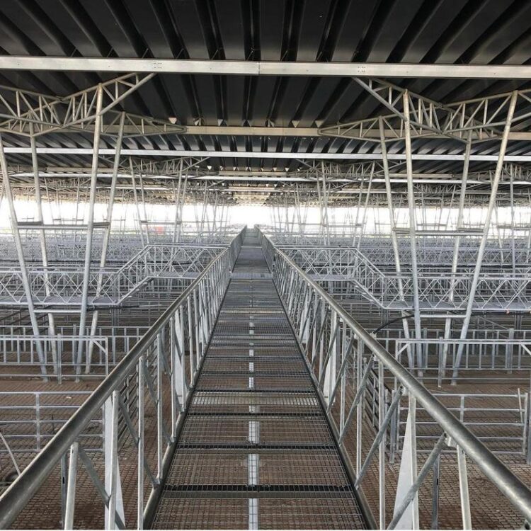 El mercado ganadero de Cañuelas entró en la recta final: Las operaciones de Liniers se mudarían a mitad de año