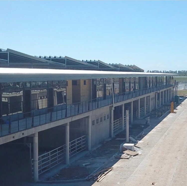 El mercado ganadero de Cañuelas entró en la recta final: Las operaciones de Liniers se mudarían a mitad de año