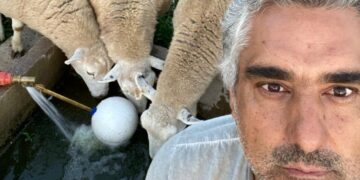 Franco Michelli y sus “cuatro reinas” producen corderos orgánicos bajo el sistema Voisin: “Hacer bien las cosas tiene sus beneficios”, afirma