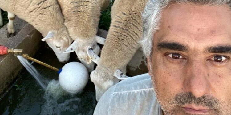 Franco Michelli y sus “cuatro reinas” producen corderos orgánicos bajo el sistema Voisin: “Hacer bien las cosas tiene sus beneficios”, afirma