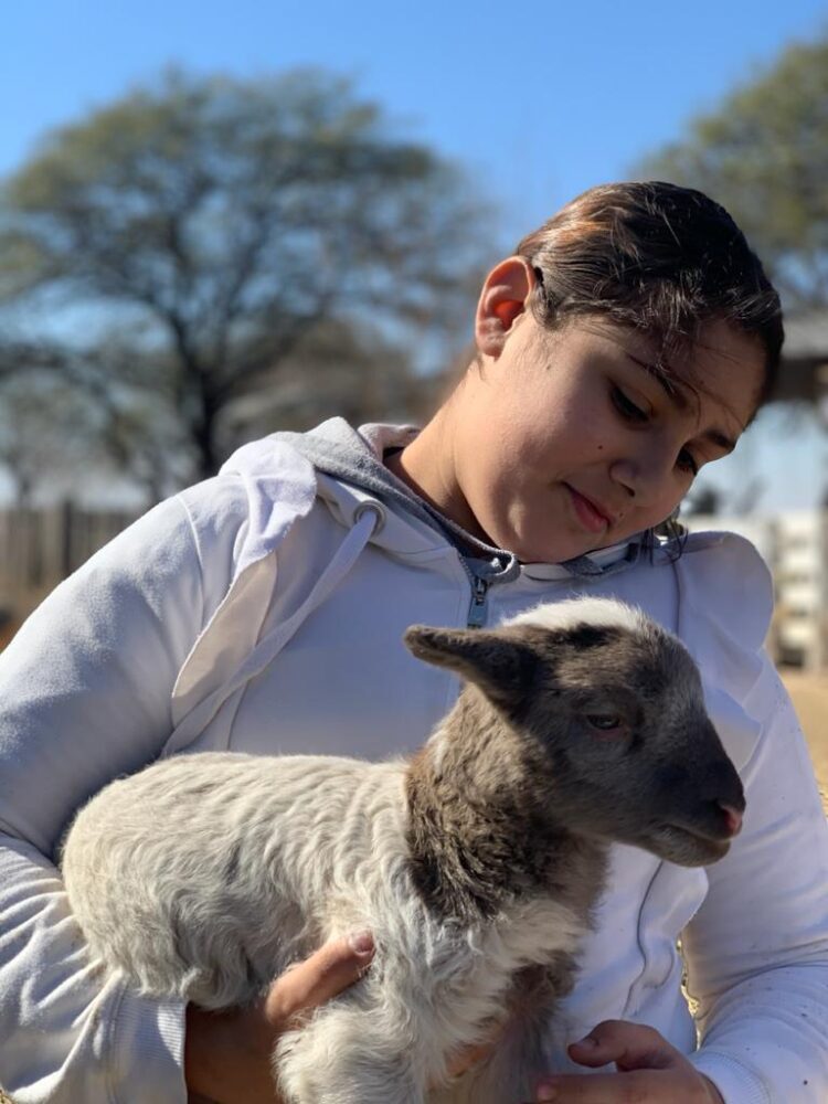 Franco Michelli y sus “cuatro reinas” producen corderos orgánicos bajo el sistema Voisin: “Hacer bien las cosas tiene sus beneficios”, afirma