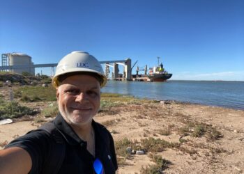 Nuevos horizontes para el cereal: Se concretó una novedosa exportación de “trigo soft” para Brasil