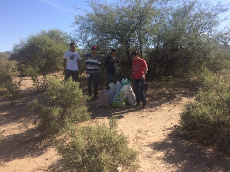 Sabiduría ancestral: En San Juan la cooperativa Polok Nenu utiliza la algarroba como materia prima para elaborar alfajores